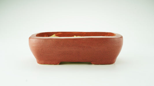 Vaso bonsai artigianale rettangolare in gres CM 19 - Handmade Bonsai Pot - CMBonsaiPots